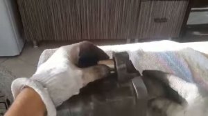 Mazda МПВ-1 Как заменить втягивающее стартера Мазда WLT LVLR