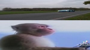 звук Lamborghini svj  mp4