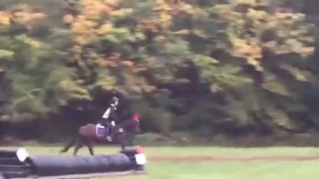 TBEA DX XC DESI & KIWI смотреть онлайн