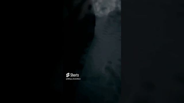 Работа работой но дома ждет принцесса  #2024 #shortvideo #папинадочка