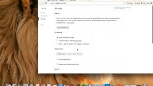 Torch Browser Beta version on a Mac