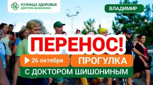 Приглашаем на прогулку во Владимире 16 ноября 2024!