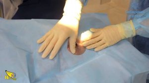 Видеоролик Сибирский взгляд