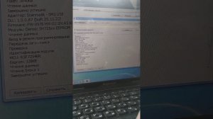 Hyundai Grand Starex отключение Adblue, EGR, DPF