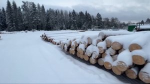 Обзор производства по рубленному бревну для Вадима и Евгении.