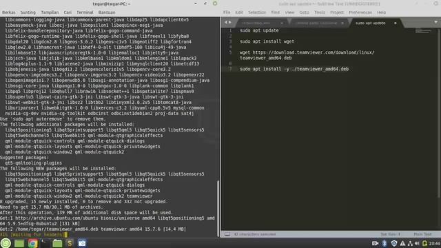 How to install team viewer  Linux Mint