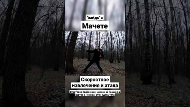 Йайдо с мачете. Скоростное извлечение и атака. #shorts смотреть онлайн