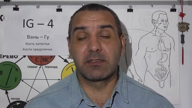Склонность человека к простудным заболеваниям.