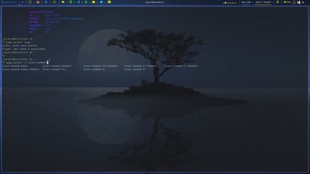 KERNEL XANMOD 6.0.9 SHOW!!! смотреть онлайн