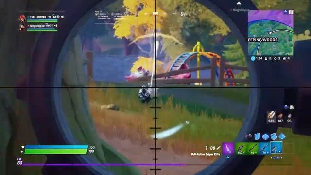 Fortnite Victory royale Part #2