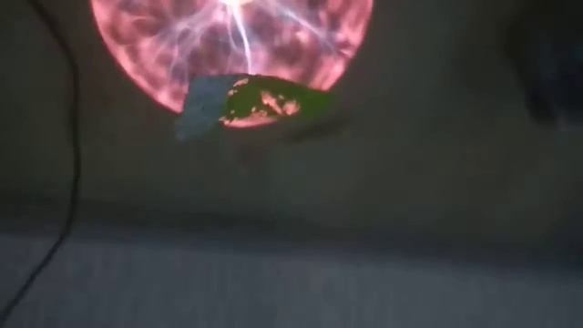 Моя лампа тесла