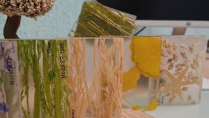 Декоративные перегородки - Серия ACRYLIC АРТ ЛАЙН