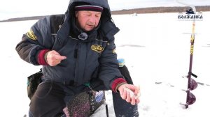 Ловля карася по первому льду