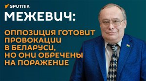 Межевич: перед выборами в Беларуси может готовиться новая модель провокаций