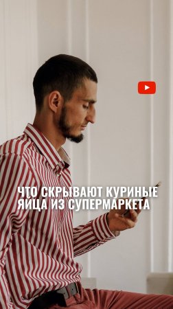 ЧТО СКРЫВАЮТ куриные яйца из супермаркета