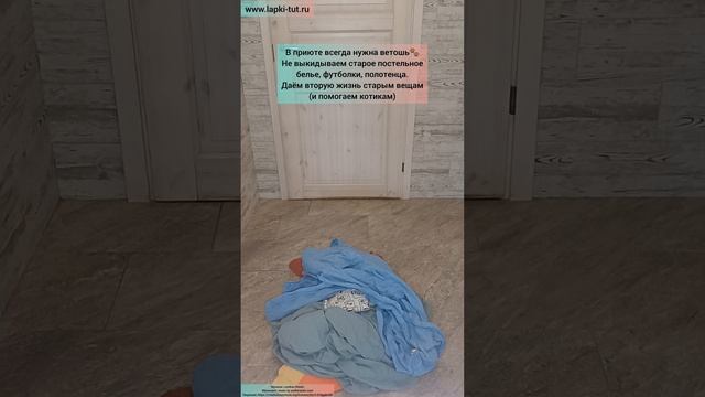 помощь приюту
