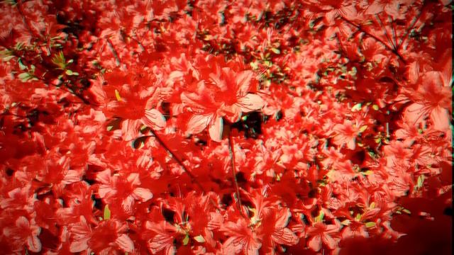 Back Seat Diver - Winter / Valentine (feat. Lee Murnin & Ryan Lx) смотреть онлайн