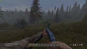 АТМОСФЕРНОЕ БЕЗУМНОЕ ВЫЖИВАНИЕ.ОХОТА И РЫБАЛКА В ДЕЙЗ СТАЛКЕР РП.DAYZ STALKER RP