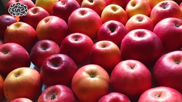 15 Surprising Health Benefits of Apples | 15 Things You Do Not Know | 2020 смотреть онлайн