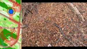 Оренбург.Парк Березка. 12.10.2024 кросс-выбор