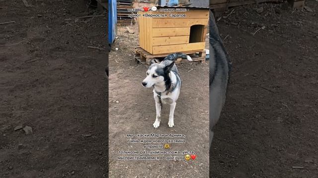 Арника и Марти.mp4