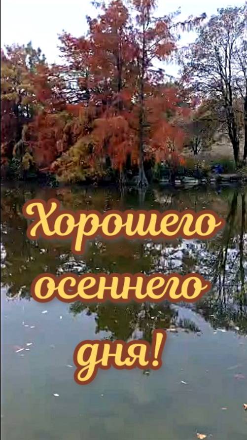 Хорошего осеннего дня!