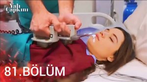 Зимородок 81 серия на русском языке