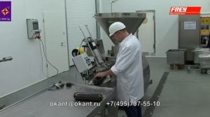 Сосисочная линия Frey. Колбасная линия. Окант & К