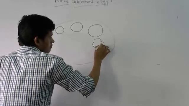 CLASS 12 BIOLOGY
