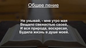 Воскресное собрание 14 апреля 2024