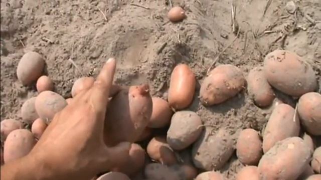 Семінар Агріко 28.07.2016 смотреть онлайн