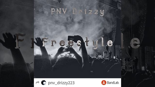PNV Drizzy - Freestyle(Prod. Ilgu)[Official Audio] смотреть онлайн