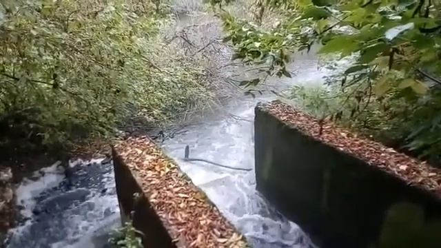 Сброс неочищенных стоков в Кирово-Чепецке смотреть онлайн