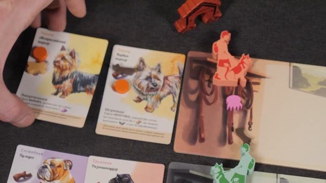 Прогулки с собаками. Обзор и правила настольной игры. смотреть онлайн