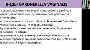 10. Бактериальный вагиноз: современный взгляд на проблему