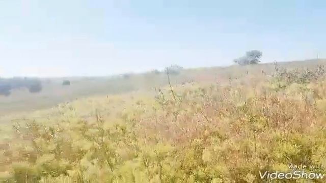 Крутая рибалка
