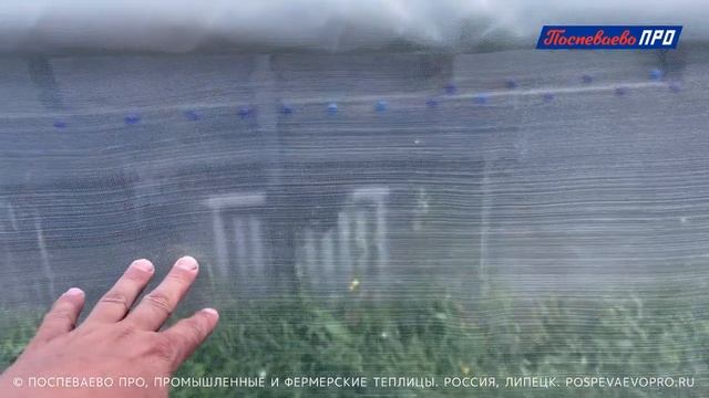 Как работает боковое проветривание и система межпленочного наддува в теплице Супермодуль 12х34 метра