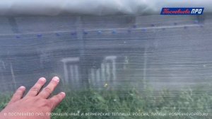 Как работает боковое проветривание и система межпленочного наддува в теплице Супермодуль 12х34 метра