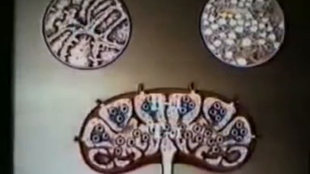 Как устроена иммунная система