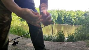 Рыбалка в мае на язя