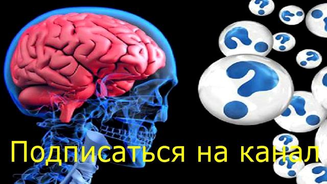 Эти продукты сушат мозг и вызывают потерю памяти