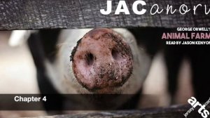 JAC-anory: Animal Farm (Part Four)