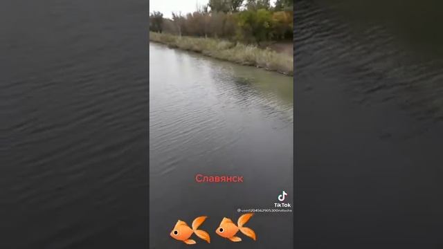 экология Донецкой области смотреть онлайн