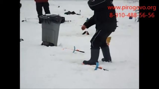 Платная рыбалка в Пирогово (КОРГАШИНО) смотреть онлайн