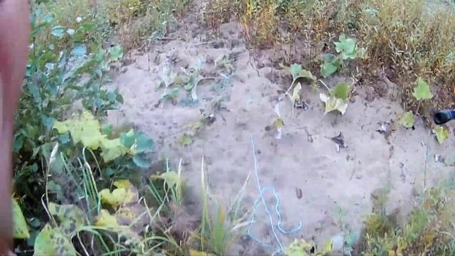 прогулка по маленькой речке ловля окуня смотреть онлайн