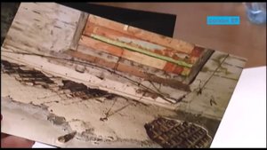 Депутат Госдумы Елена Вторыгина провела приём населения Архангельской области