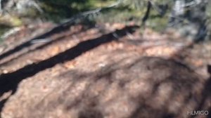 Проверка путиков. интересные находки в лесу.