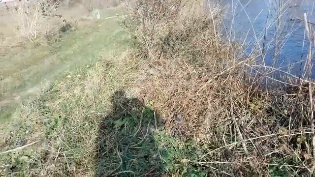 Ловлю на паука. смотреть онлайн