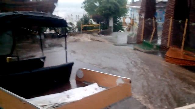 Аркадия тонет!!!!!! смотреть онлайн