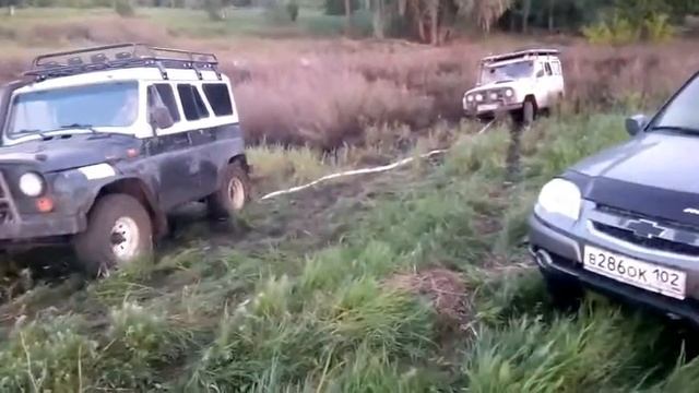 Спасаем Дикого Кота смотреть онлайн